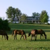 Inn At Westwynd Farm