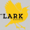 The Lark